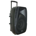 Караоке тонколона 100W RMS NJOY15S + 2 микрофона Караоке тонколона 100W RMS NJOY15S + 2 микрофона