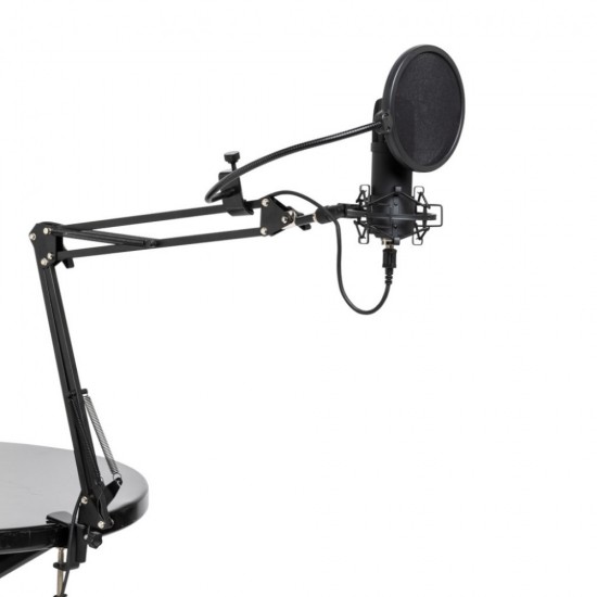 Микрофон SUM45 кардиоиден USB + ветробран и стойка