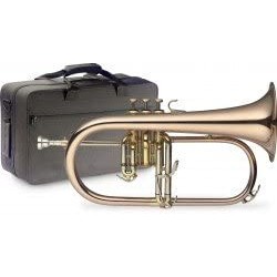 Флигорна Stagg 77-B HG + калъф