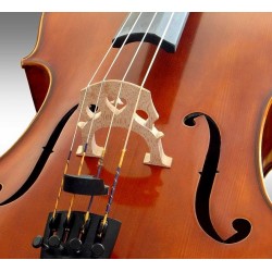 Как да изберем виолончело за детето?