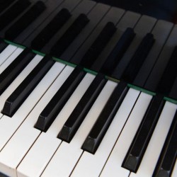 Колко са клавишите на пианото