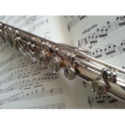 История на развитието на флейтата