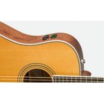 Fender PM-1 Paramount Series Standard Dreadnought Natural - Акустична китара с Кейс от MusicShop