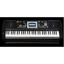 M15 Medeli Синтезатор - 61 клавиша 300 voices 200 styles от MusicShop