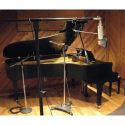 Звук и звукозапис на пиано роял